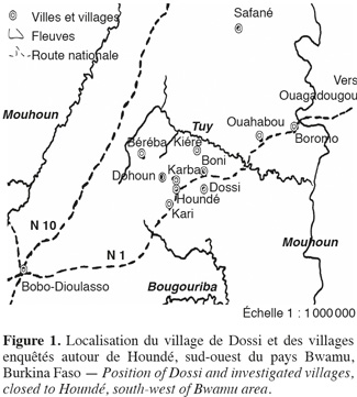 Image1