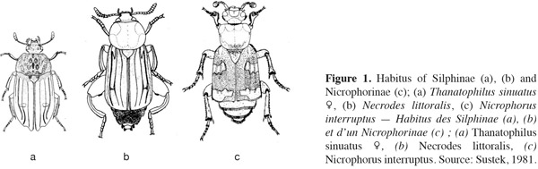 Image2