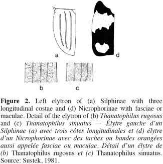 Image3