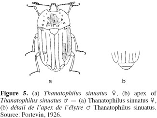 Image6