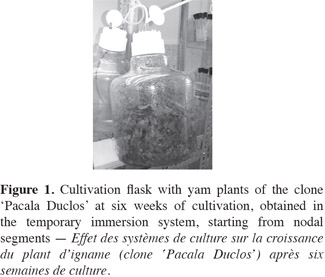 Image2