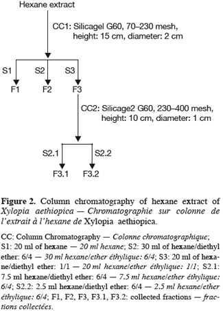 Image2