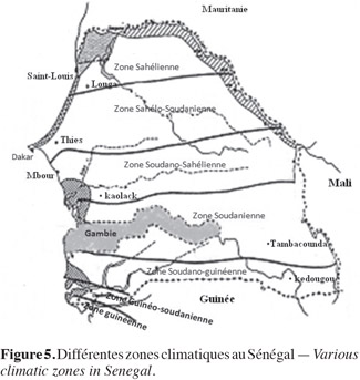 Image9
