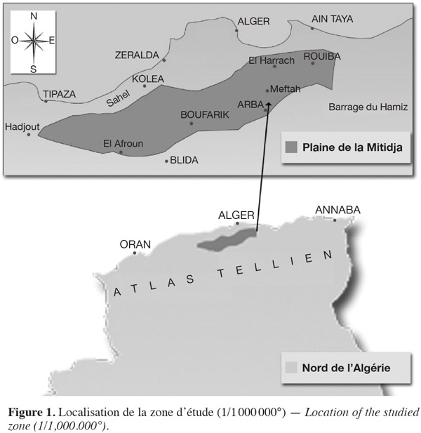 Image1