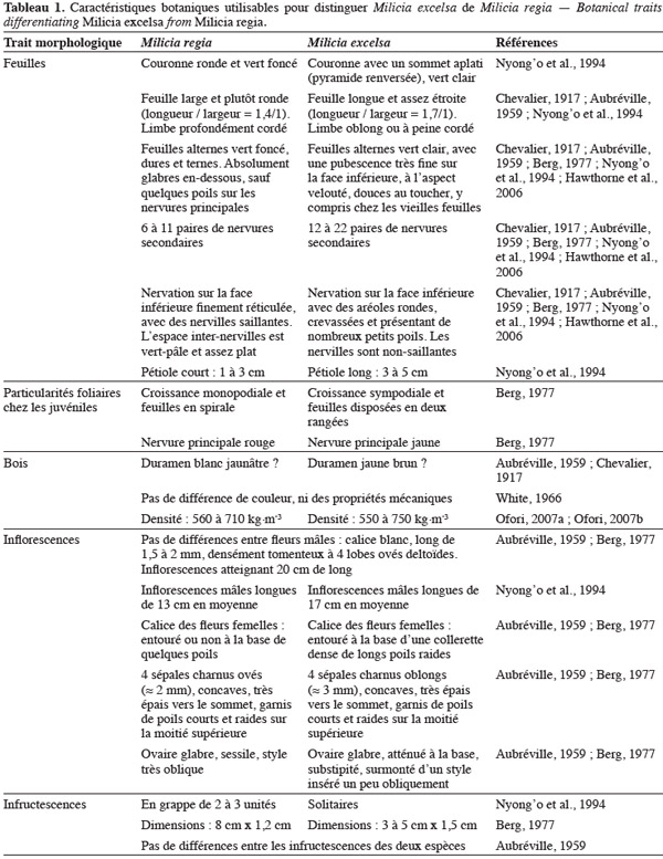 Image2