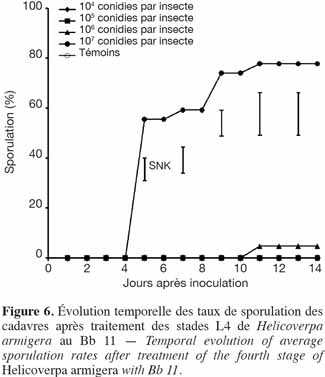 images11
