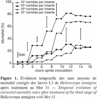 images6