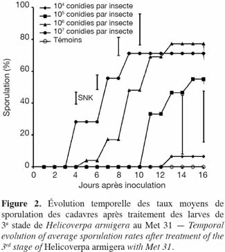 images7