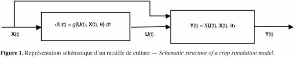 images6