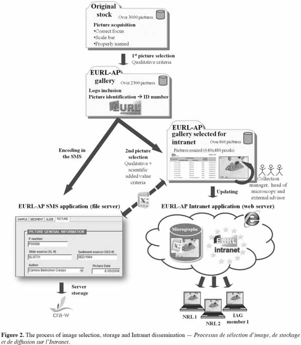images2