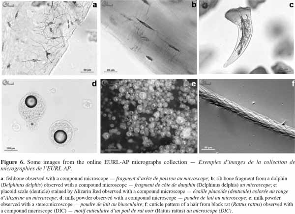 images6
