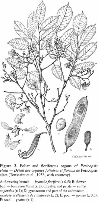 images3