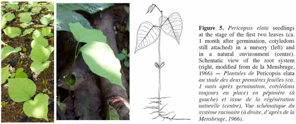 images6