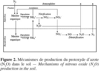 images5