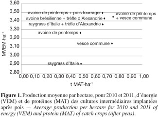 images4