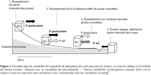 images3
