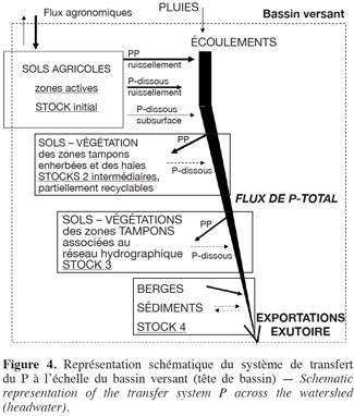 images6
