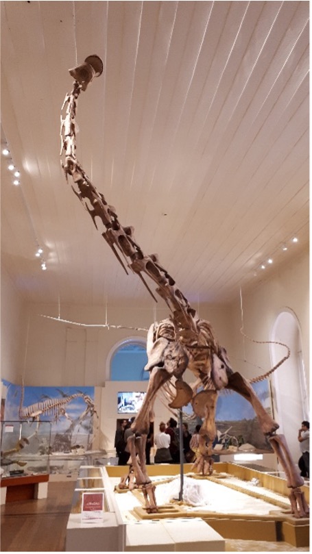 Image 10000000000001C7000003290C08CFC1.jpg