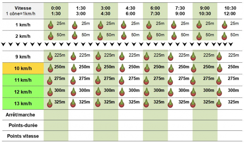 Tableau 1 - Fiche d'observation et d’évaluation pour la saisie par l’élève des résultats d’un pair